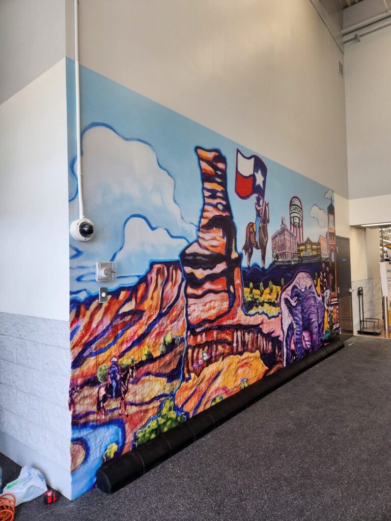 Full-wall printed vinyl mural of a Texas canyon scene installed by Xenix Graphics